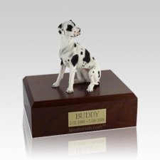 Great Dane Harlequin Ears Down Medium Dog Urn