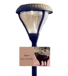 Guiding Light Pet Photo Grave Lamp