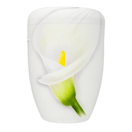 Innocence Biodegradable Urn