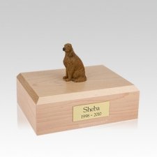 Irish Setter Sitting Medium Dog Urn