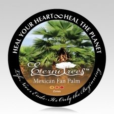 Mexican Fan Palm Cremation Ash Pet Tree