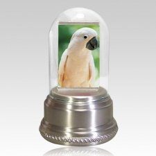 My Best Friend Bird Cremation Urn