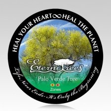 Palo Verde Cremation Ash Pet Tree