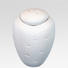 Paw Print Quartz Small Biodegradable Urn