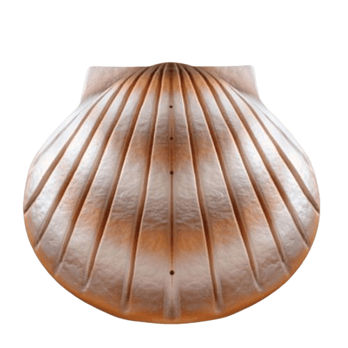 Pearl Shell Biodegradable Cremation Urns