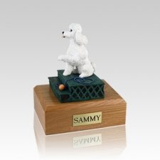 Poodle White Sport Cut Sitting Medium Dog Urn