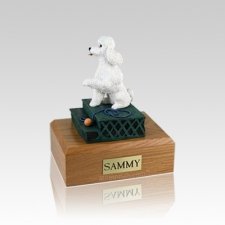 Poodle White Sport Cut Sitting Small Dog Urn