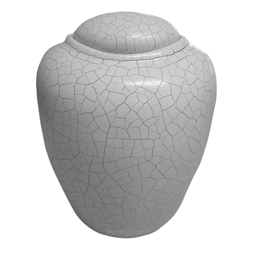 Raku Bio Water Cremation Urn