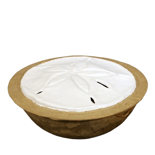 Sand Dollar Biodegradable Cremation Urn