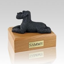 Schnauzer Black Ears Down Laying Large Dog Urn