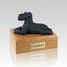 Schnauzer Black Ears Down Laying Medium Dog Urn