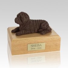 Shar Pei Chocolate Dog Urns