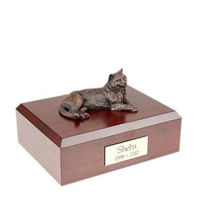 Tabby Bronze Large Cat Cremation Urn