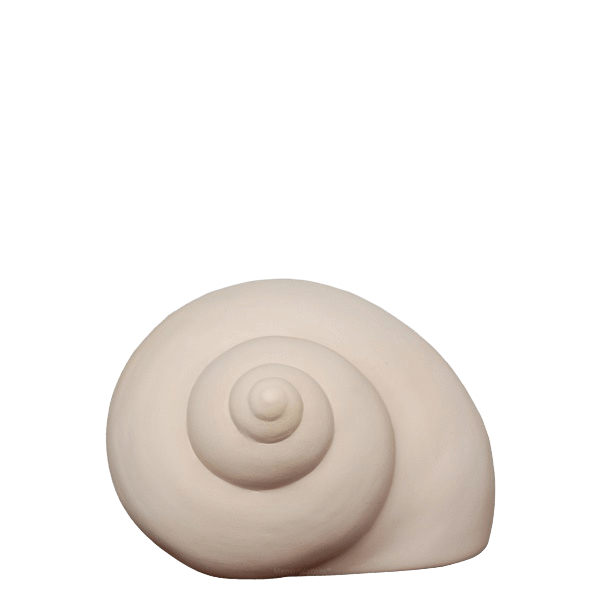 Turban Shell Medium Urn