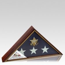 Vice Presidential Gold Flag Display Case