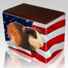 US Flag Pet Picture Walnut Urns