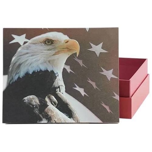 American Pride Scattering Urn