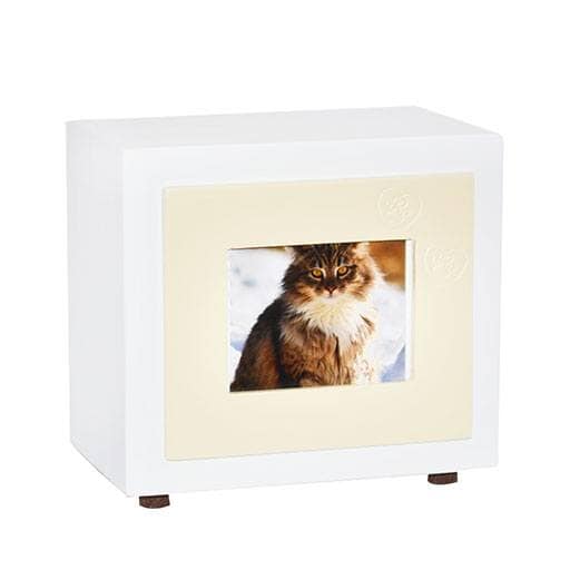 Beige Paw Small Photo Pet Urn