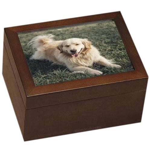 Best Friends Chest Cremation Urn