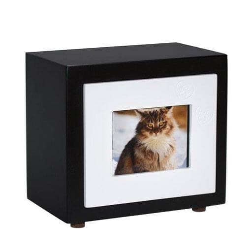 Black and White Paw Large Photo Pet Urn