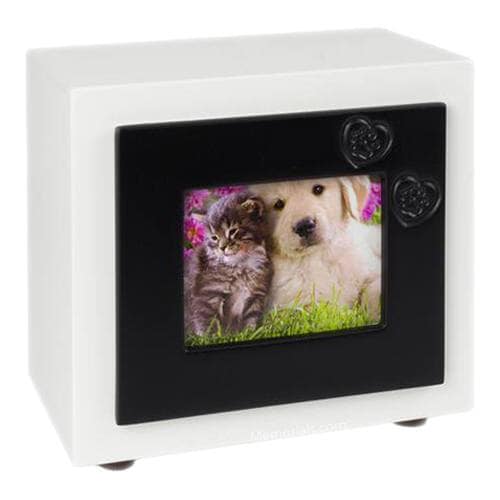 Black Paw Large Photo Pet Urn