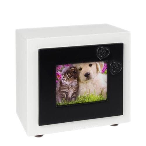 Black Small Paw Photo Pet Urn
