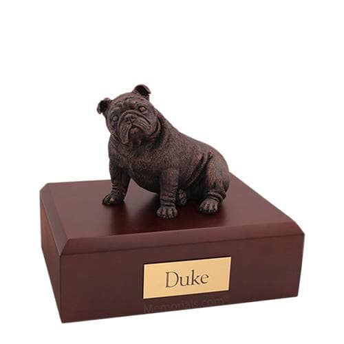Bulldog Bronze Sitting Medium Dog Urn