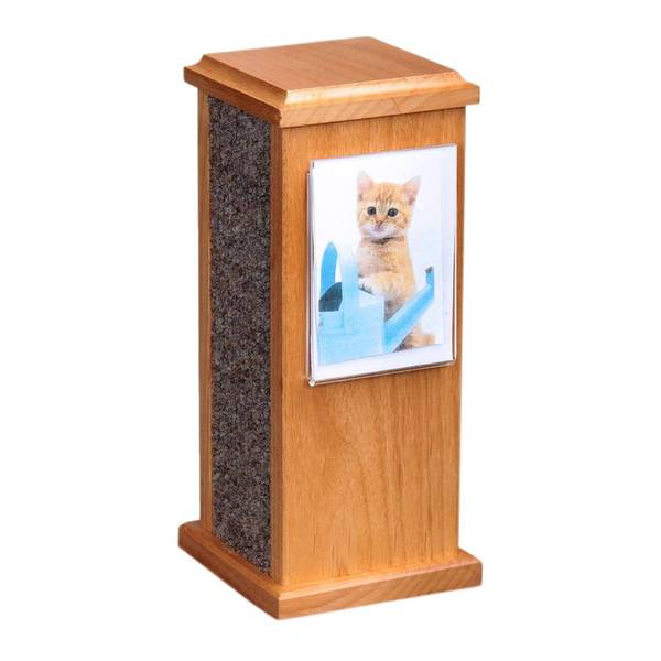 Cat Post Cremation Urn