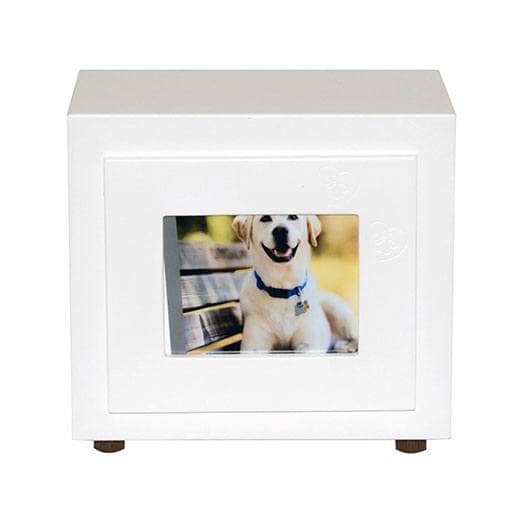 Classic White Paw Small Photo Pet Urn