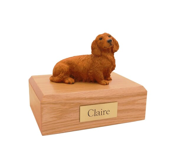 Dachshund Long Haired Brown Small Dog Urn