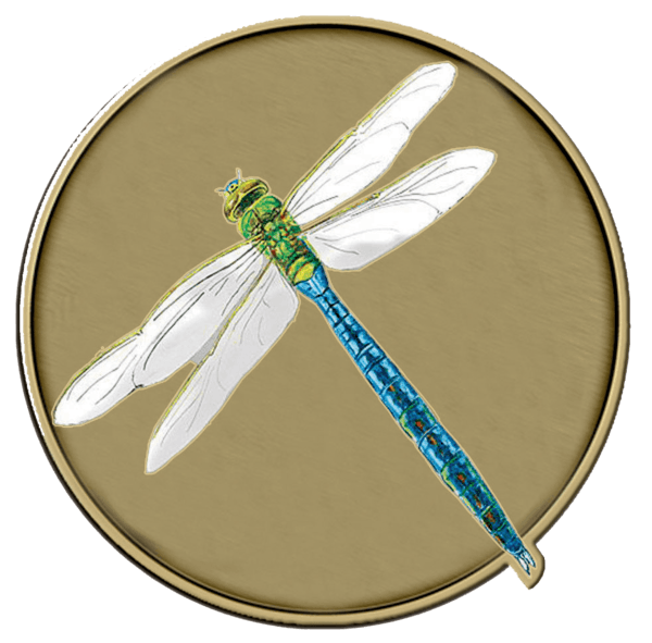 Dragonfly Medallion