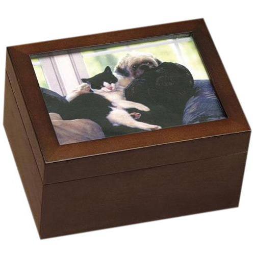 Best Friends Chest Cremation Urn