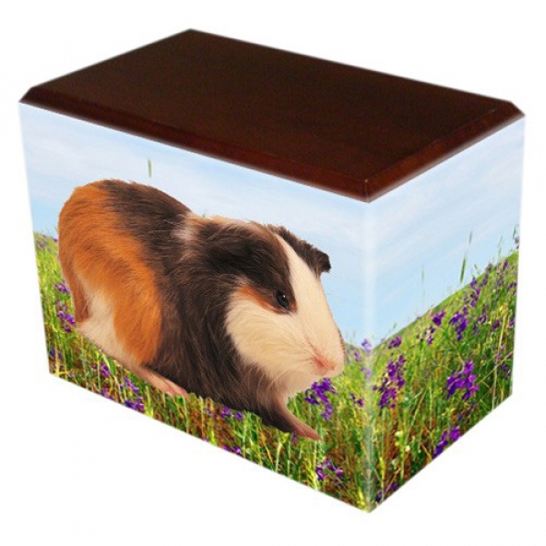 Field of Violets Pet Picture Walnut Urns