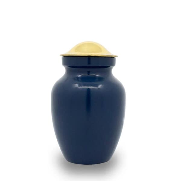 Gold Navy Keepsake Cremation Urn