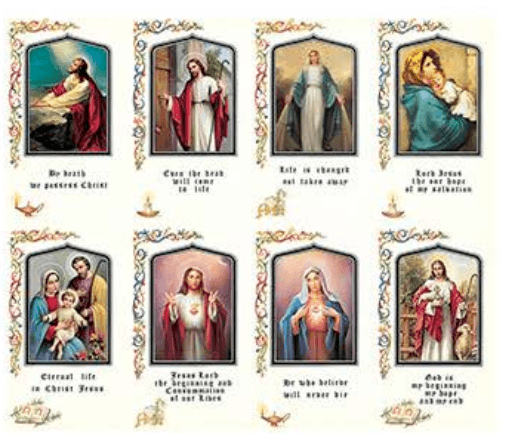 Immaculate Prayer Cards