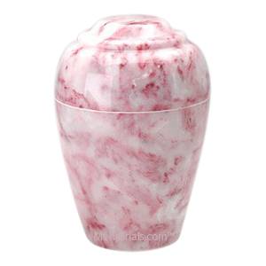 Ruby Pet Cremation Urn