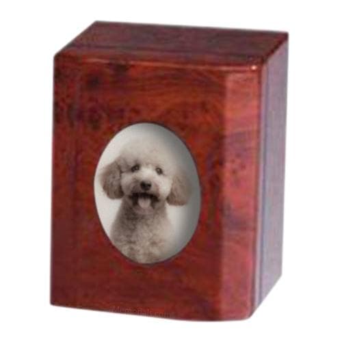 Memento Photo Pet Cremation Urn II