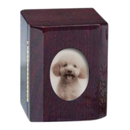 Memento Photo Pet Cremation Urn