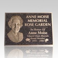 Bronze Plaque with Bronze Picture