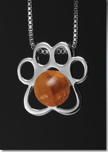 Amber Paw Cremation Pendants