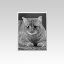 Pet Memorial Photographs Vertical V