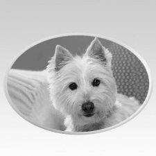 Pet Headstone Pictures Horizontal