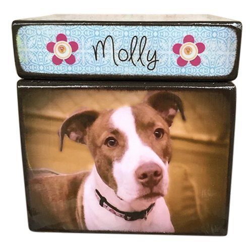 Photo Cube Large Pet Urn