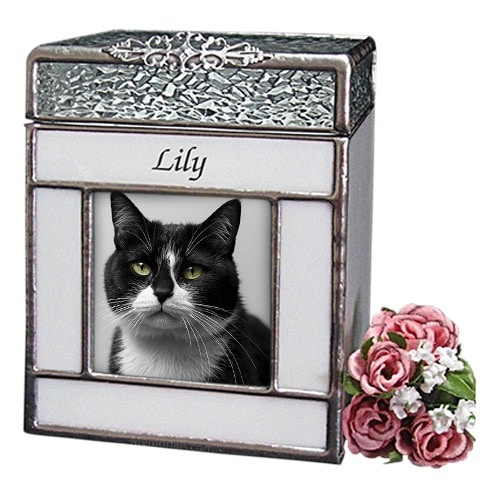 Purity Glass Small Photo Pet Urn