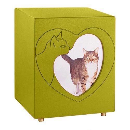 Purring Yellow Photo Cat Urn