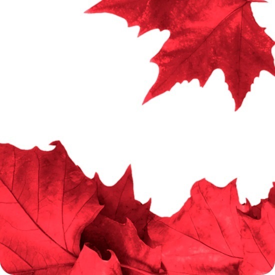Red Maple Tree Urn