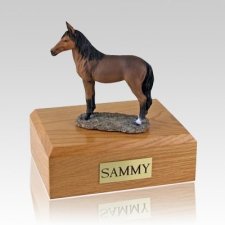 Bay Standing Horse Cremation Urns