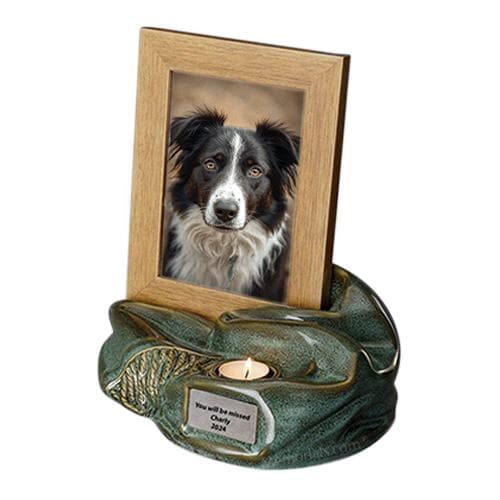 Sage Ceramic Photo Pet Urn