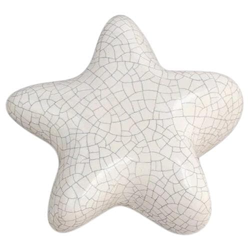 Sea Star Keepsake Urn For Ashes