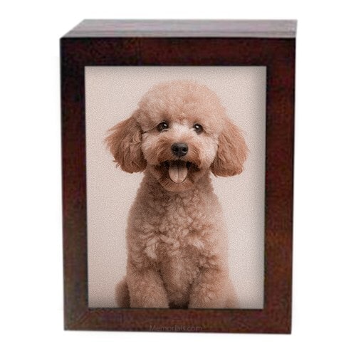 Small Photo Frame Cremation Urn